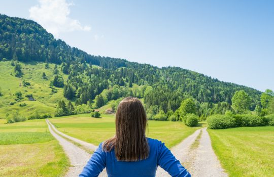 Welches ist der richtige Weg für mich?