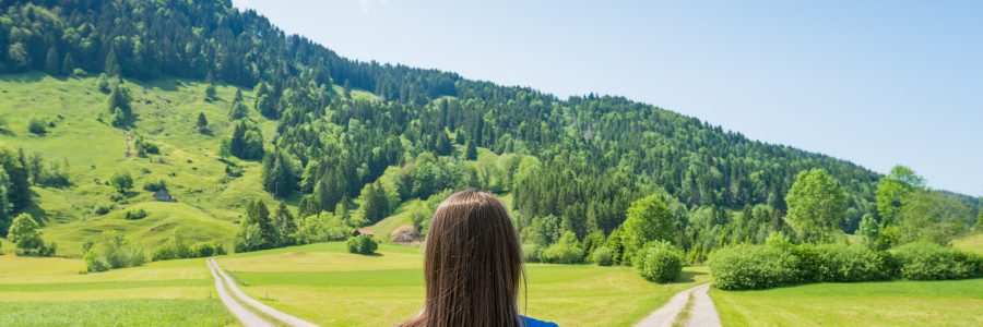 Welches ist der richtige Weg für mich?